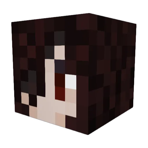 hyskenek Minecraft avatar head, 3D render