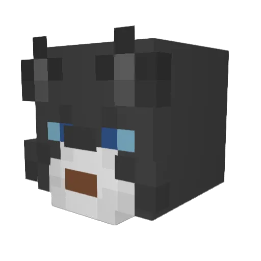 hystericsoupman Minecraft avatar head, 3D render