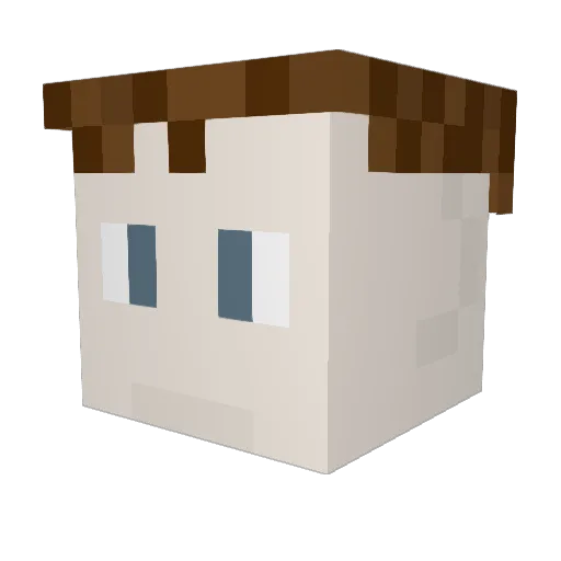 hyttemis Minecraft avatar head, 3D render