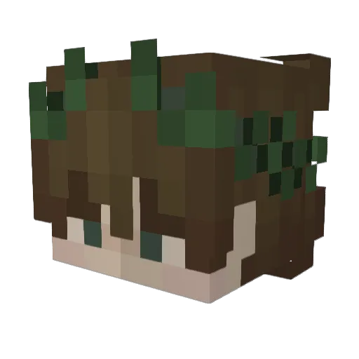 hyukko Minecraft avatar head, 3D render