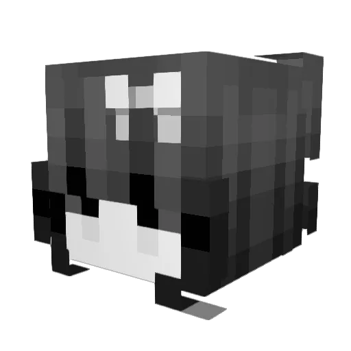 hyumi Minecraft avatar head, 3D render