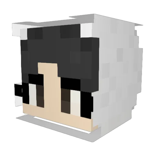 hyungkim Minecraft avatar head, 3D render