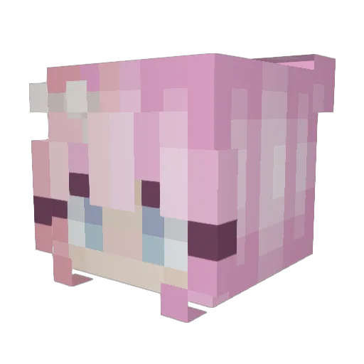 hyunjinuwu Minecraft avatar head, 3D render