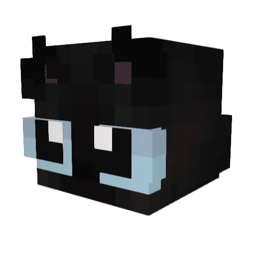 hyunugii Minecraft avatar head, 3D render