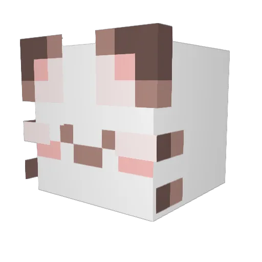 hyunwoo0810 Minecraft avatar head, 3D render