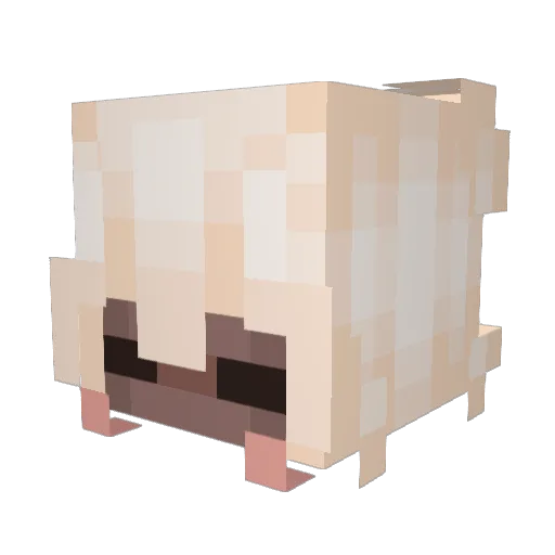 hyuvyn Minecraft avatar head, 3D render