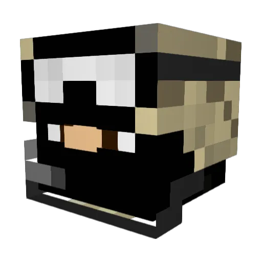 hywel02 Minecraft avatar head, 3D render