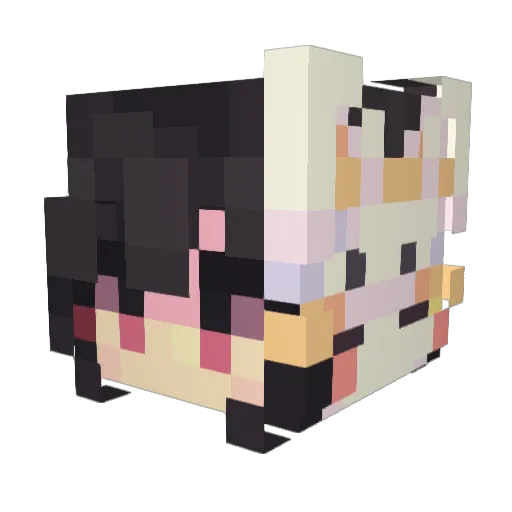 hyzeia Minecraft avatar head, 3D render