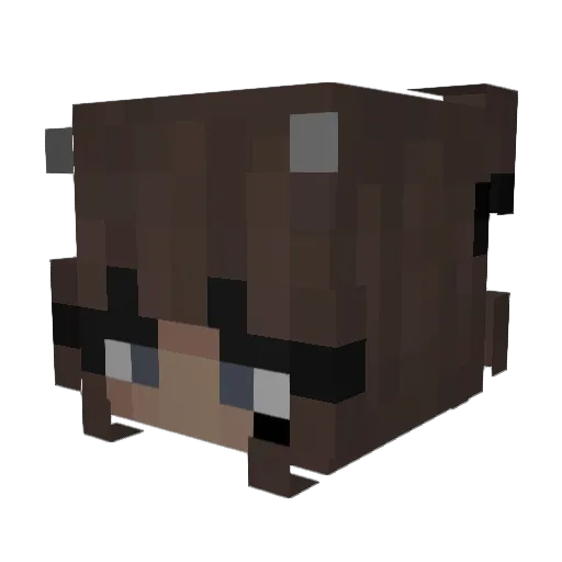 hznebula Minecraft avatar head, 3D render