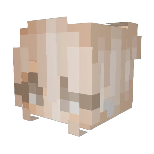 hzsof Minecraft avatar head, 3D render