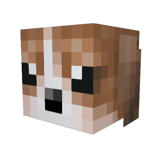i0N__ Minecraft avatar head, 3D render