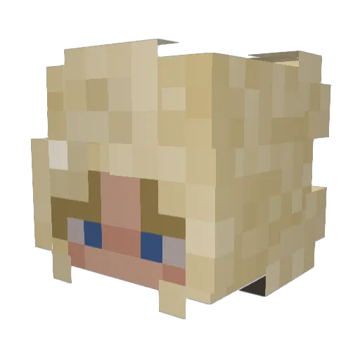 i49 Minecraft avatar head, 3D render