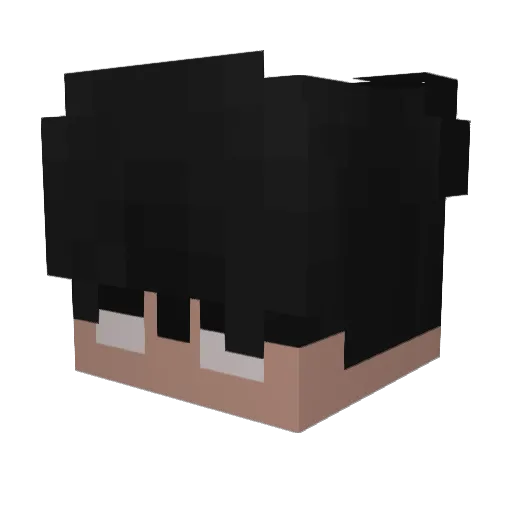i5el Minecraft avatar head, 3D render