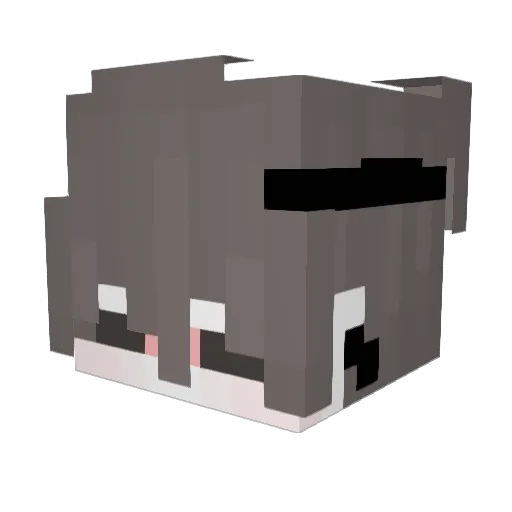 iAdrixn Minecraft avatar head, 3D render