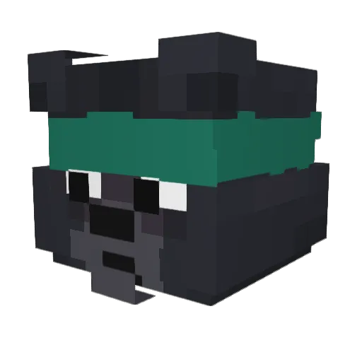 iAgui Minecraft avatar head, 3D render
