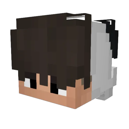 iAlekZzis_ Minecraft avatar head, 3D render