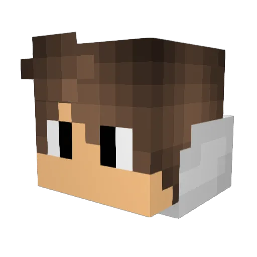 iAmFei Minecraft avatar head, 3D render