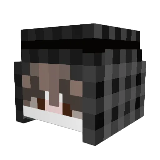 iAmLimitz_ Minecraft avatar head, 3D render