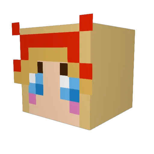 iAmOnly6YearsOld Minecraft avatar head, 3D render
