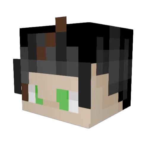 iAmSkillas Minecraft avatar head, 3D render