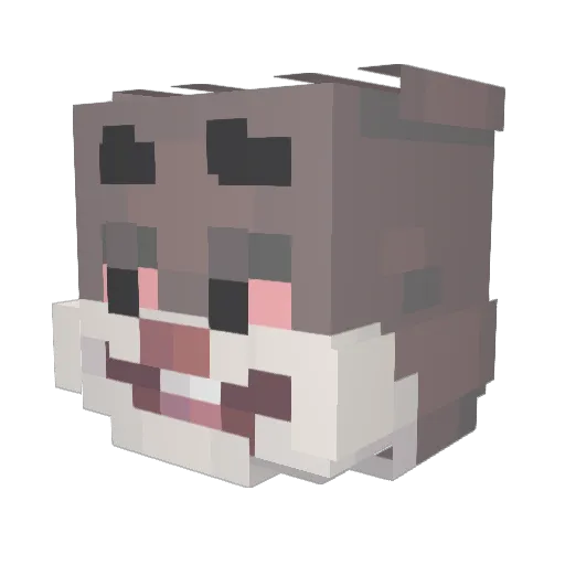 iAmorfoda Minecraft avatar head, 3D render
