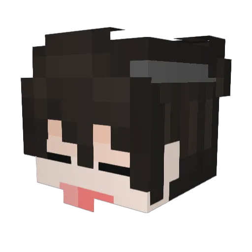 iAnderson_ Minecraft avatar head, 3D render