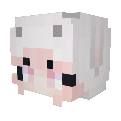 iAniiram Minecraft avatar head, 3D render