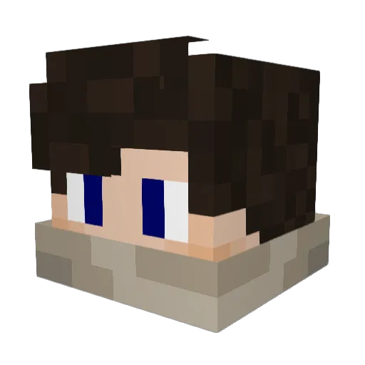 iAns_ Minecraft avatar head, 3D render