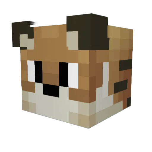 iAxii Minecraft avatar head, 3D render