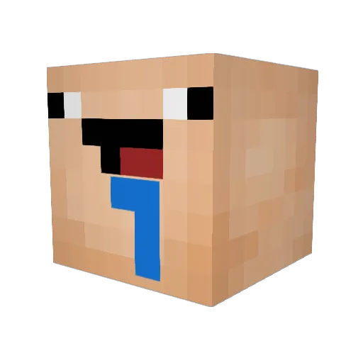 iBaRayne Minecraft avatar head, 3D render