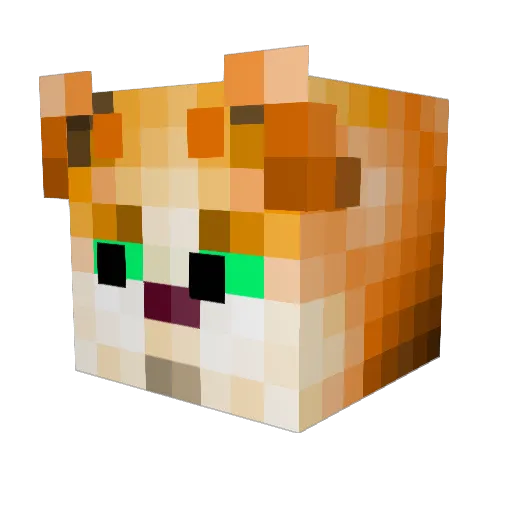 iBallisticCat14 Minecraft avatar head, 3D render