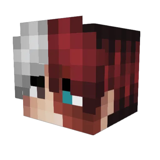iBerkeWinner_V2 Minecraft avatar head, 3D render