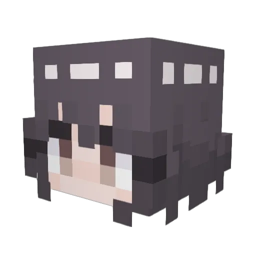iBornInJanuary Minecraft avatar head, 3D render