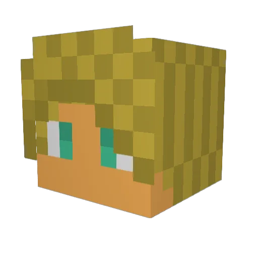 iBotta Minecraft avatar head, 3D render