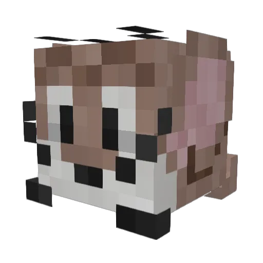 iBoulderDash Minecraft avatar head, 3D render