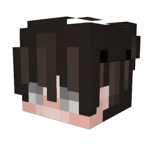 iBssr Minecraft avatar head, 3D render
