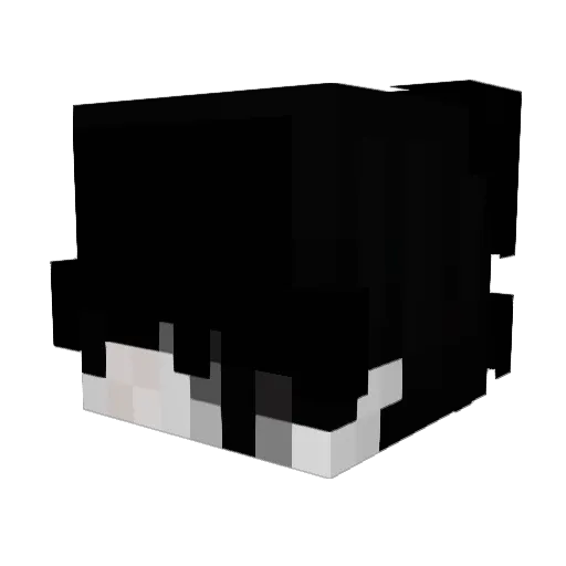 iBtm Minecraft avatar head, 3D render