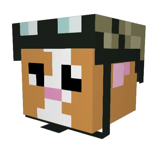 iBum_ Minecraft avatar head, 3D render