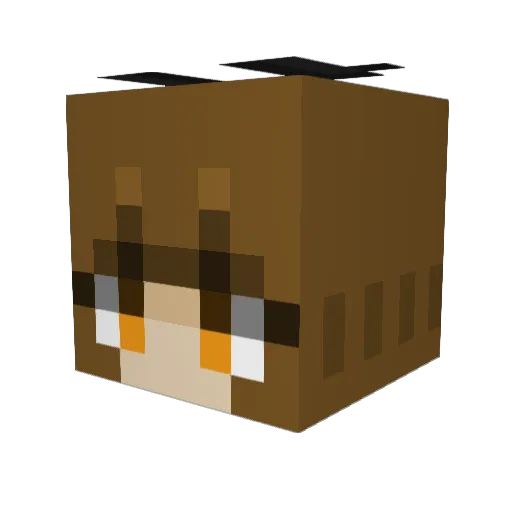 iCarlySnCu Minecraft avatar head, 3D render