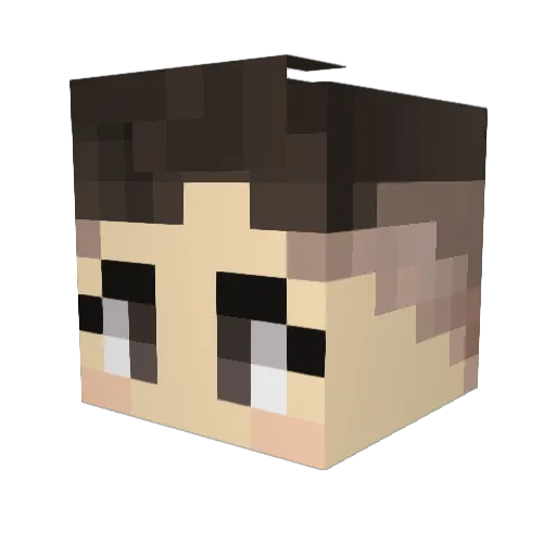 iCarvalhu Minecraft avatar head, 3D render