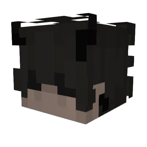 iChale Minecraft avatar head, 3D render