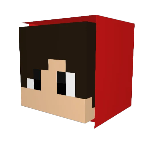 iCookies_ Minecraft avatar head, 3D render