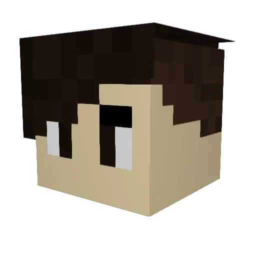 iCpoo Minecraft avatar head, 3D render