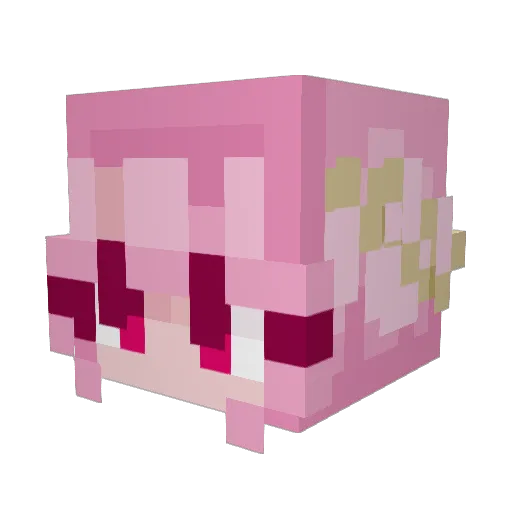 iD999 Minecraft avatar head, 3D render