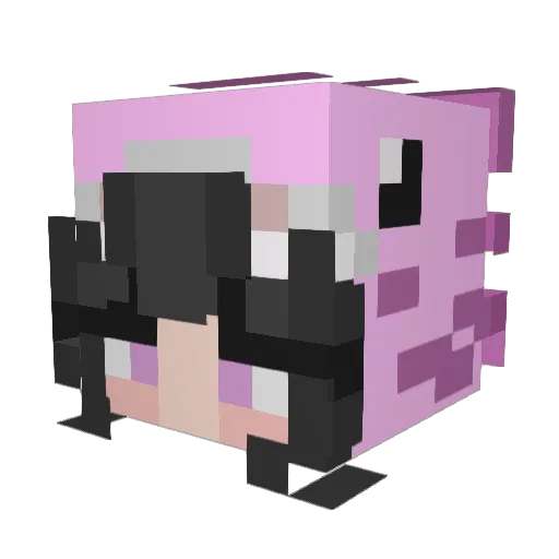 iDanilla Minecraft avatar head, 3D render
