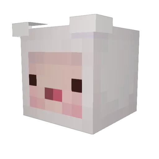 iDerz99 Minecraft avatar head, 3D render
