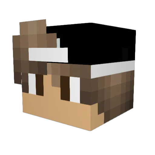 iDohaQatar Minecraft avatar head, 3D render