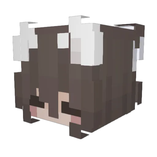 iDotW Minecraft avatar head, 3D render