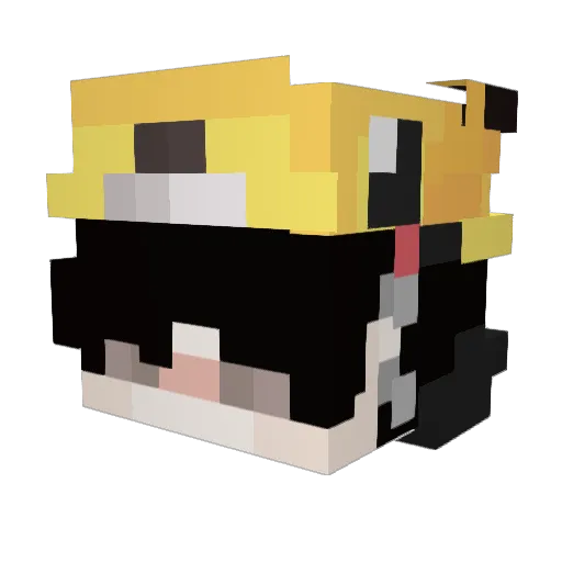 iDrecs Minecraft avatar head, 3D render