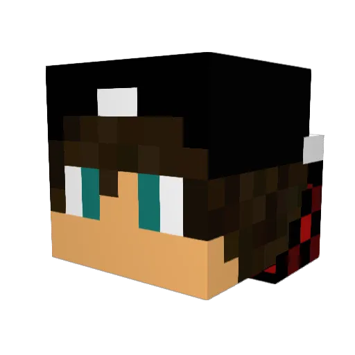 iDreed Minecraft avatar head, 3D render